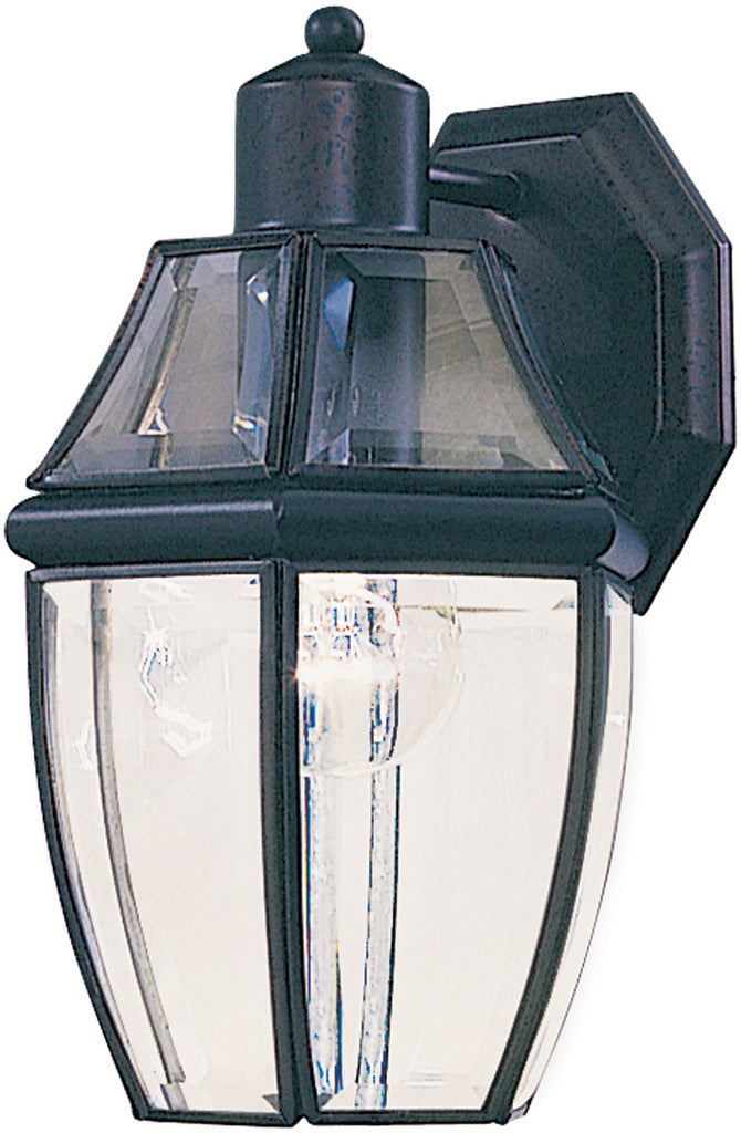 South Park 1-Light Outdoor Wall Lantern Black - C157-4010CLBK