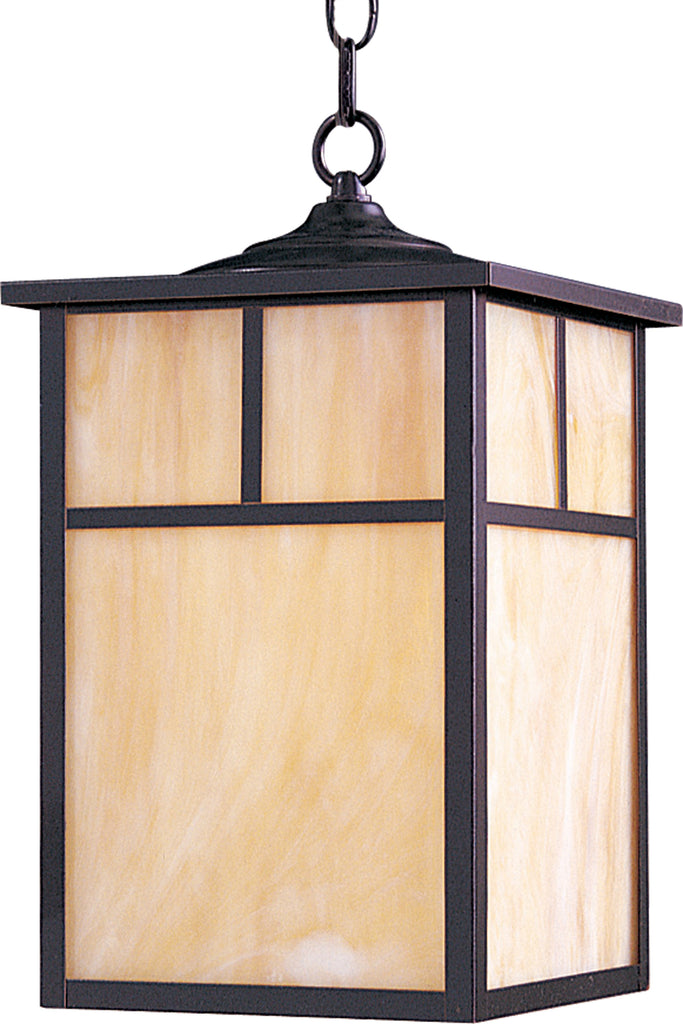 Coldwater 1-Light Outdoor Hanging Lantern Burnished - C157-4058HOBU